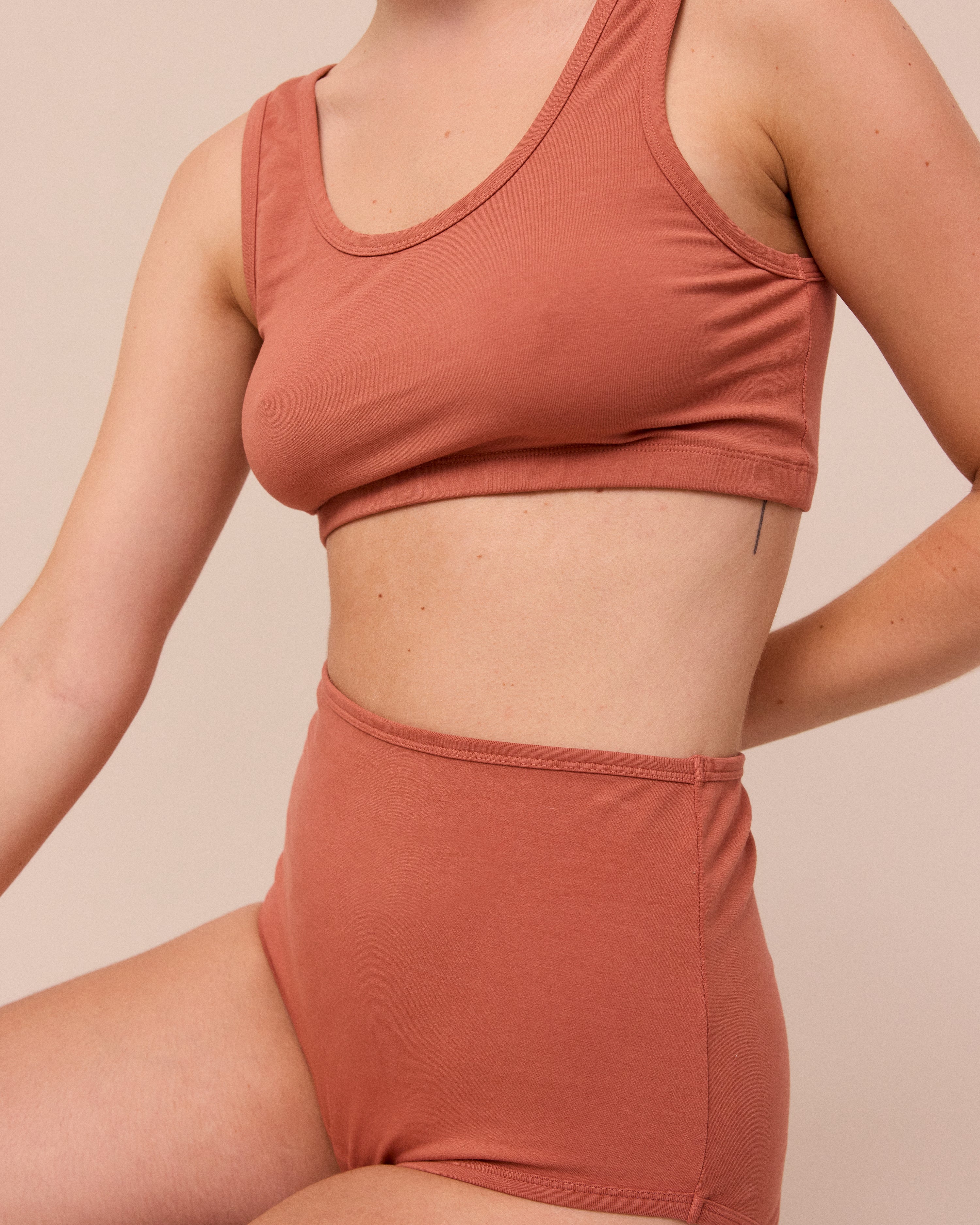 Full Coverage Knicker Terracotta - Image 4